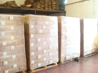 safir plastik